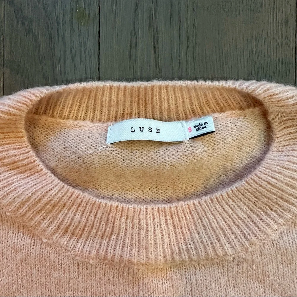 Lush Pink Daisy Embroidered Crewneck Sweater - Picture 2 of 10